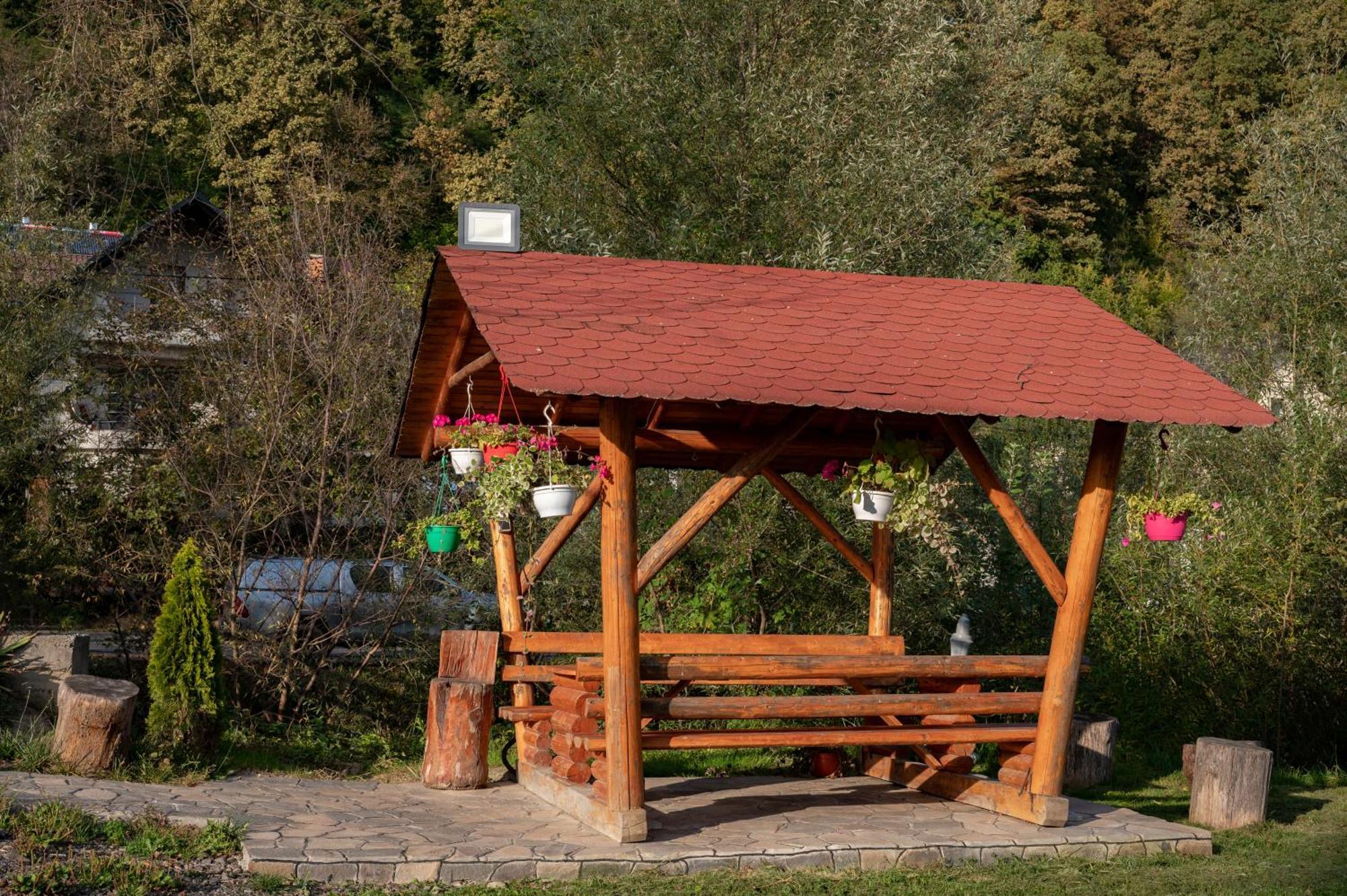 Pensiunea Marinela Máramarossziget Kültér fotó